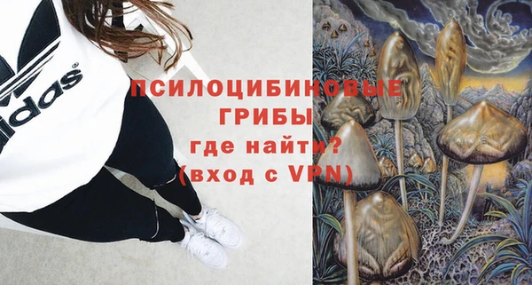 сатива Абаза