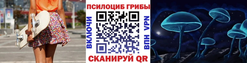 mega как зайти  как найти   Лосино-Петровский  Галлюциногенные грибы Psilocybine cubensis 