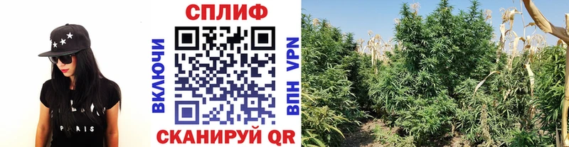 хочу Лосино-Петровский МАРИХУАНА тримм